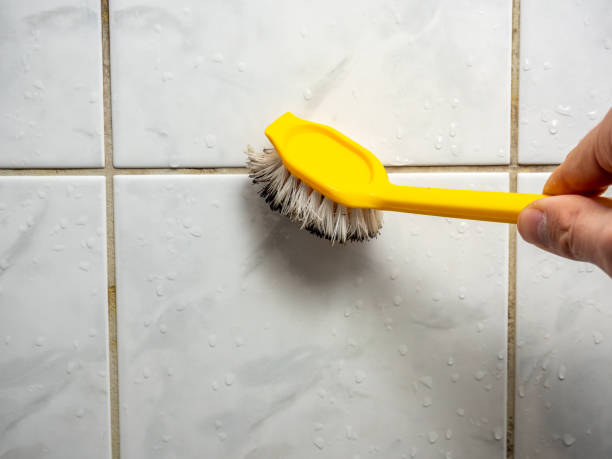 Best Home Mold Removal  in Carrollton, TX