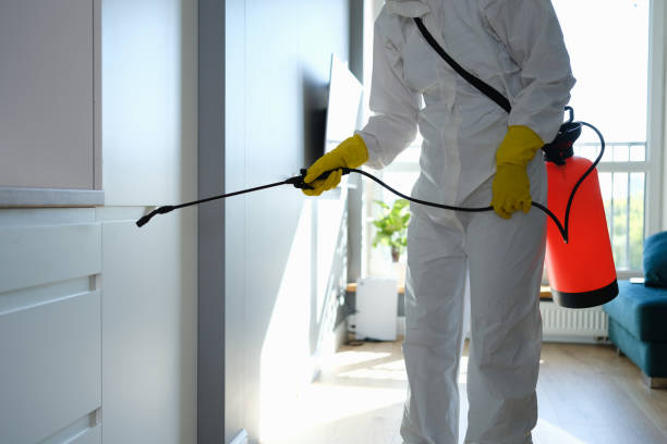 Best Toxic Mold Removal  in Carrollton, TX