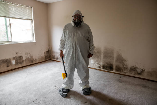 Best Toxic Mold Removal  in Carrollton, TX